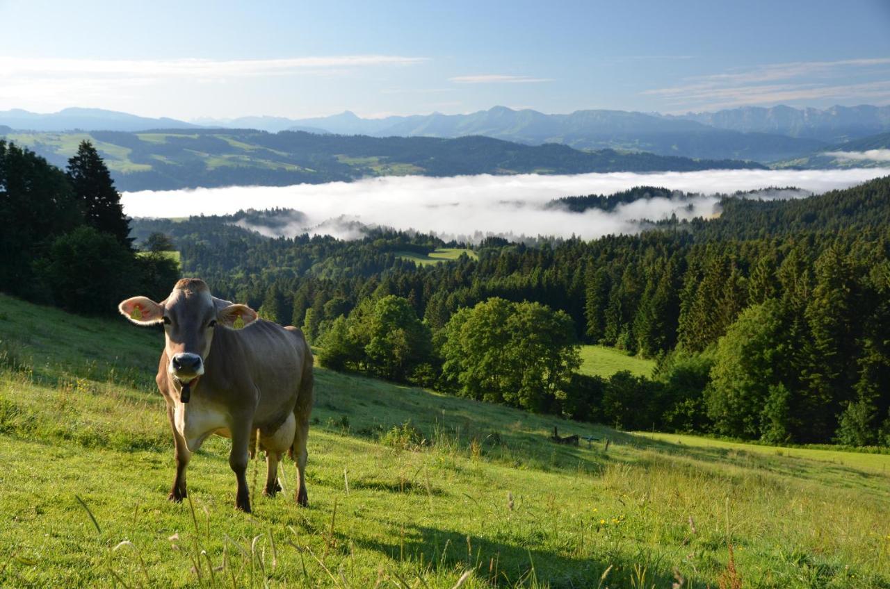 Hotel Alpenrose Gut Schlafen & Fruehstuecken シャイデック エクステリア 写真