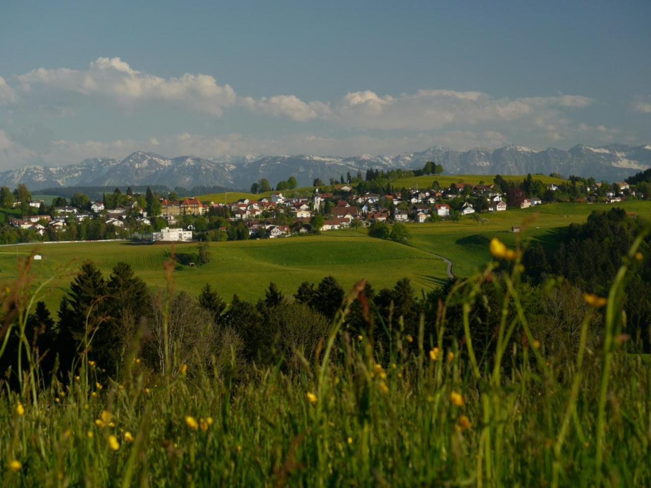 Hotel Alpenrose Gut Schlafen & Fruehstuecken シャイデック エクステリア 写真