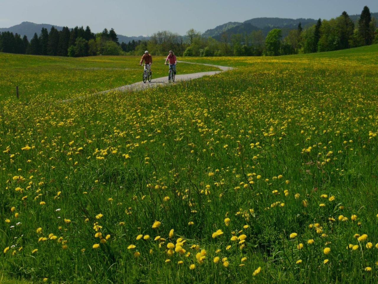 Hotel Alpenrose Gut Schlafen & Fruehstuecken シャイデック エクステリア 写真