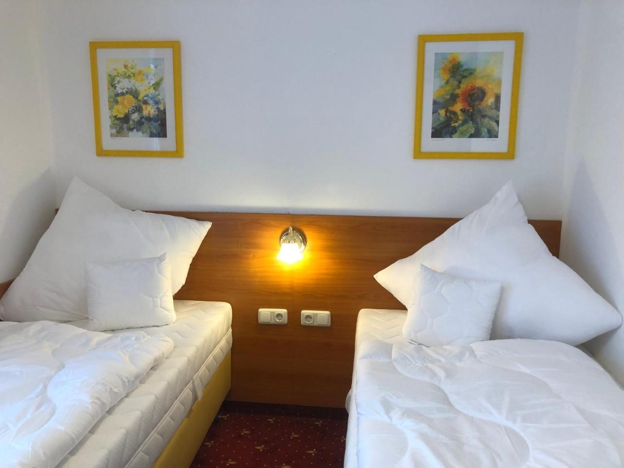 Hotel Alpenrose Gut Schlafen & Fruehstuecken シャイデック エクステリア 写真